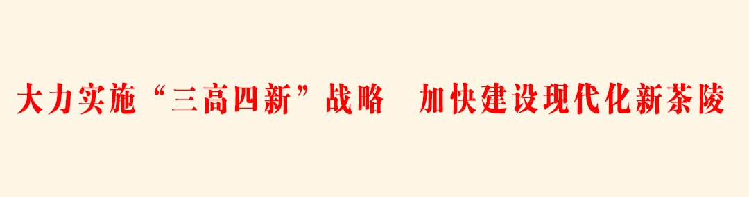 大力实施“三高四新”战略 加快建设现代化新茶陵.jpg 大力实施“三高四新”战略 加快建设现代化新茶陵.jpg